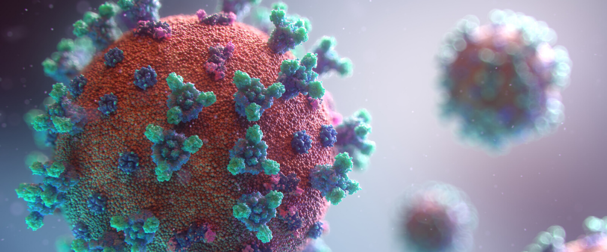a digital image of a virus