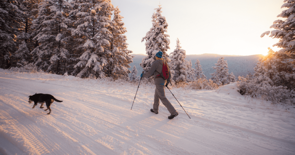 Person walking through snow with dog