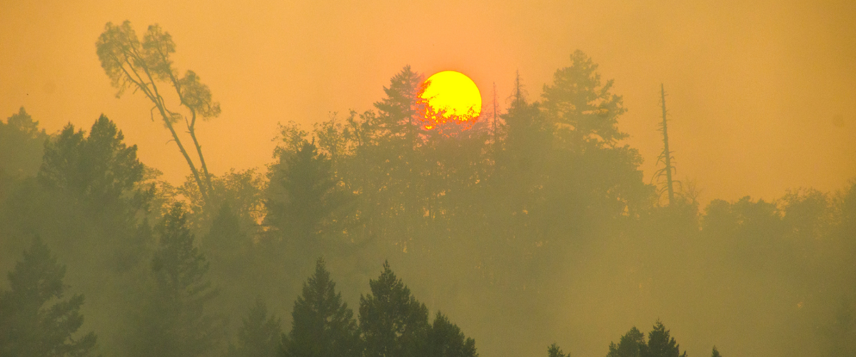 a setting sun with a hazy horizon